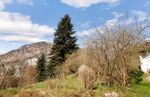 Ferienwohnung Haus Reiteralm - Foto 7