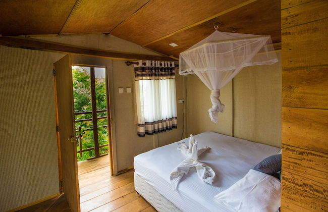 Thick forest sigiriya - Photo 5