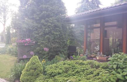 Kwiatowa Zagroda - Foto 19