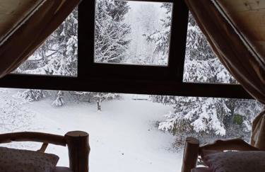 Dorina hiža - Foto 30