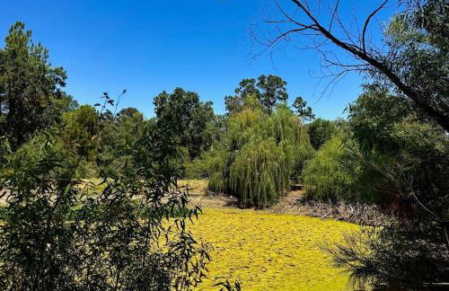 Peaceful Country Getaway Near Casino Shopping - Photo 43