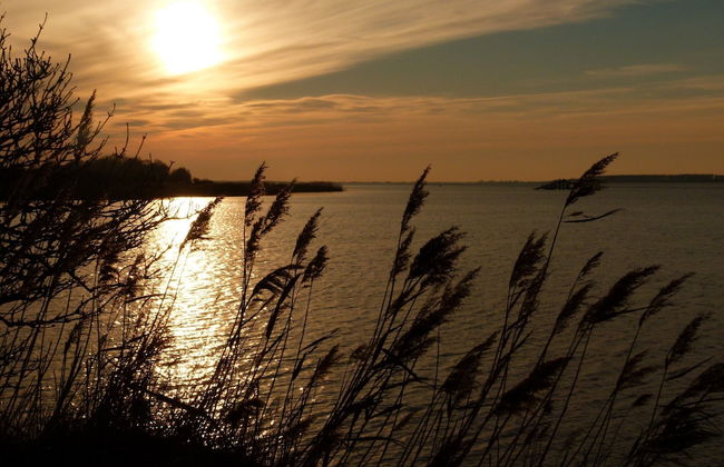 Holiday Home in Dranske auf Rgen - Foto 40