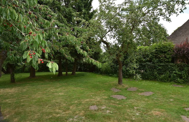 Wohnung in Alt Bukow mit Garten - Foto 24