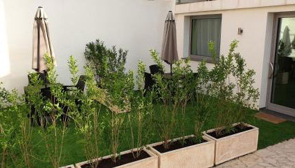 Villa Riviera - Foto 3, Garden, Garden view