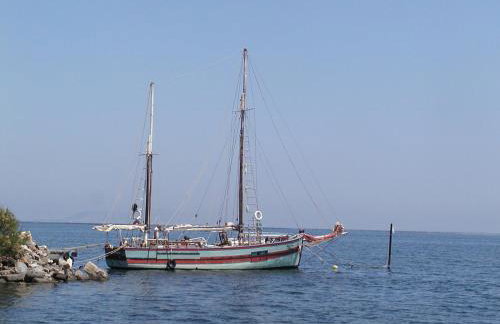 Port rive gauche Gabian - Photo 21