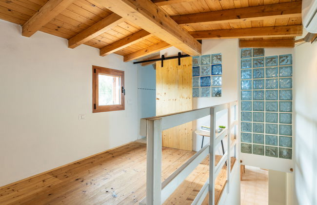 Eucalipto - Photo 21