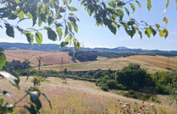 All'ombra del pino ALLOGGIO TURISTICO - Foto 12