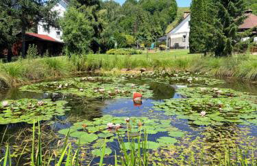 Domki nad Stawem Uherce - Foto 8