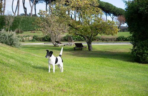 Villa Cicas - Foto 13