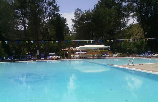 Terme Acqua Pia Wellness & SPA - Foto 13