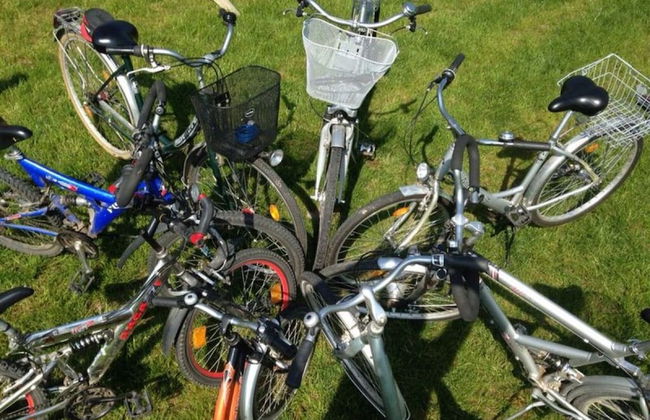 WE Evening sun in the sun House - Foto 18