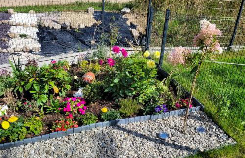 Apartament Nina - Foto 28