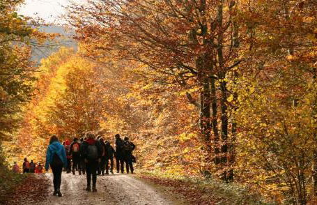 Casa Rural Irugoienea - Foto 45