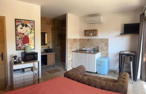 Studio cosy à Lagnes avec Piscine au milieu des oliviers - Foto 8