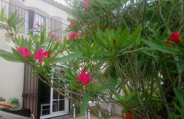 Marina à Aigues Mortes - GARD - Foto 18