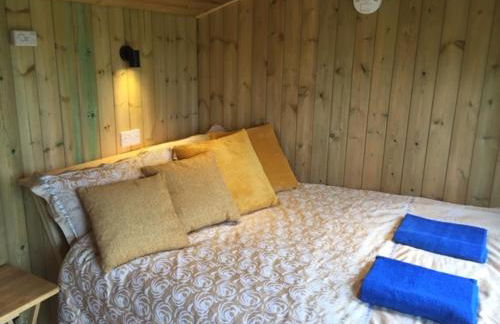 The Shepherd's Hut with cozy logburner - Foto 22