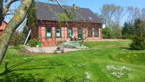 Idyllic Home Between Fields And Elbe Dyke - Foto 4