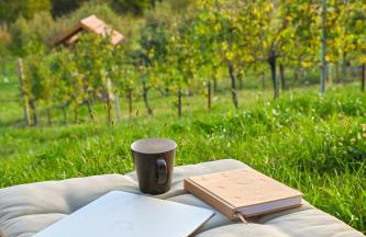 VAL HILLS Rural Holiday House - Foto 46