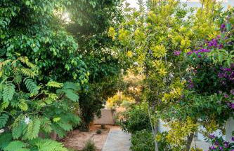 Okeanis Mystique South - Foto 75