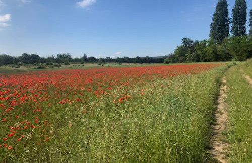 Les Buis Cozy House 1 hour from Paris - Foto 3