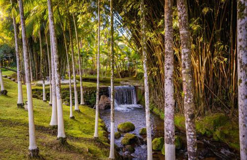 Sítio Monte Frederico - Foto 15