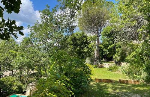 Mas du Bassac - Foto 23