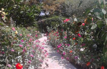 Appartamenti Angelika - Foto 7