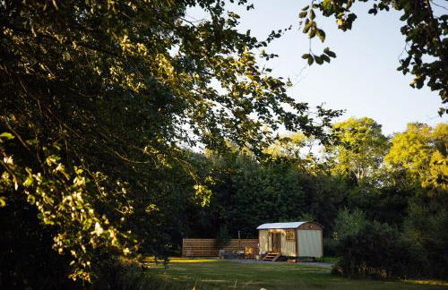 Cwtch Ffynnone Luxury Shepherds Hut - Foto 39