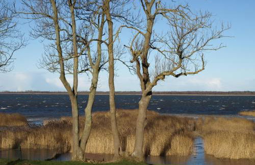 Ferienhaus Kranichblick - Foto 21