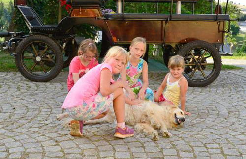 Ferienhof Kürschner - Foto 18