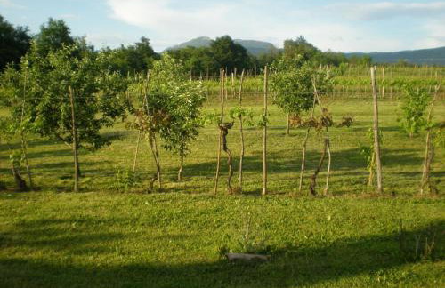 Holiday house with a swimming pool Cepic, Central Istria - Sredisnja Istra - 7404 - Foto 11