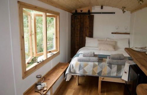 Little Dolwen - Sioned - Photo 14