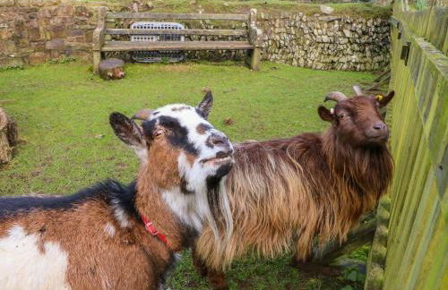 Fosfelle Cottages - Foto 59