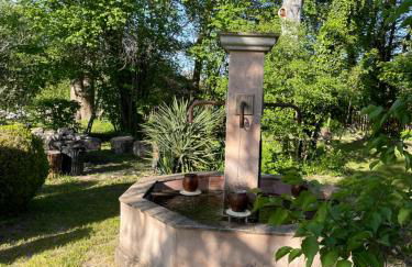 La Petite Rive - Les Oliviers - Foto 11