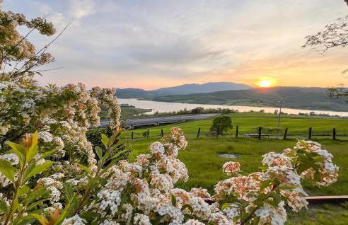 La Giuncaia - Photo 9