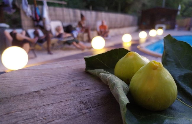 Alloggio Rurale - Foto 56