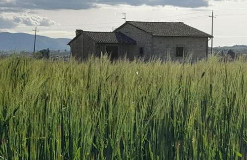 Una casa nel grano: Casa Luciola - Foto 7