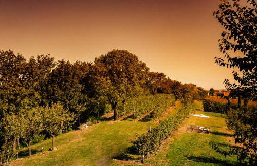 Agriturismo Olistico Atman - Foto 32