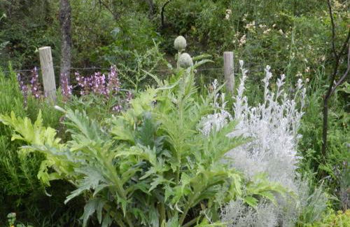 la fontana - Foto 30