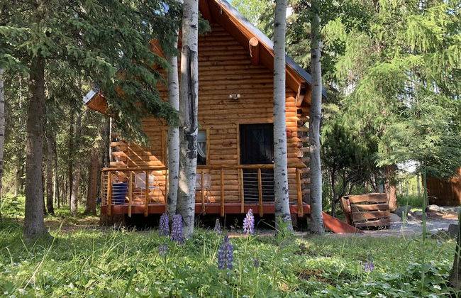 Joy's Kenai River Cabins - Foto 18