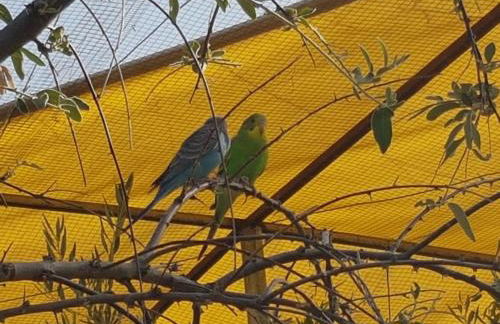 Complejo Rural Ibipozo - Foto 68