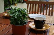 Seaside Apartment 2 - Photo 42