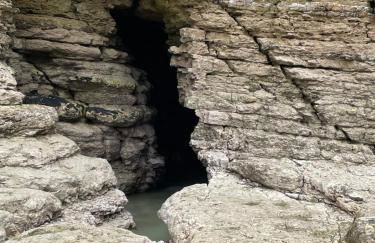 Newton house - Foto 47