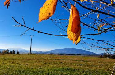 Orawskie wzgórze - Foto 9