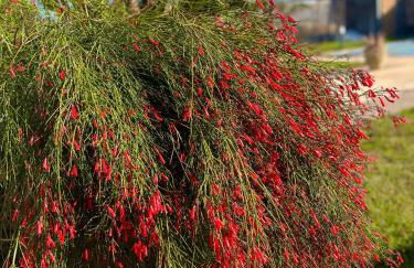 Chalet La Calma en Lorca - Foto 41