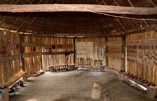 Excursion à la Réserve Hola Vida - Photo 4