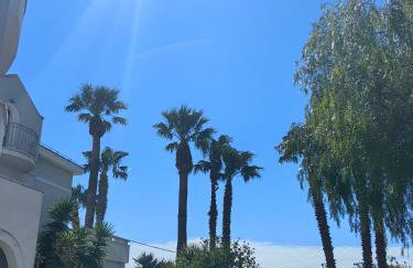 Apartmani Olga - Photo 48