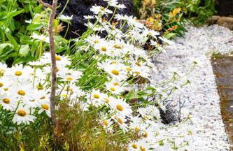 Linburn Cottage Dunfermline near Edinburgh - Foto 18