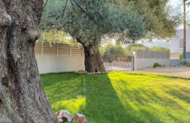 Olives Villa - Photo 30