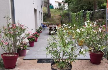 Lisière de la Forêt - Photo 18